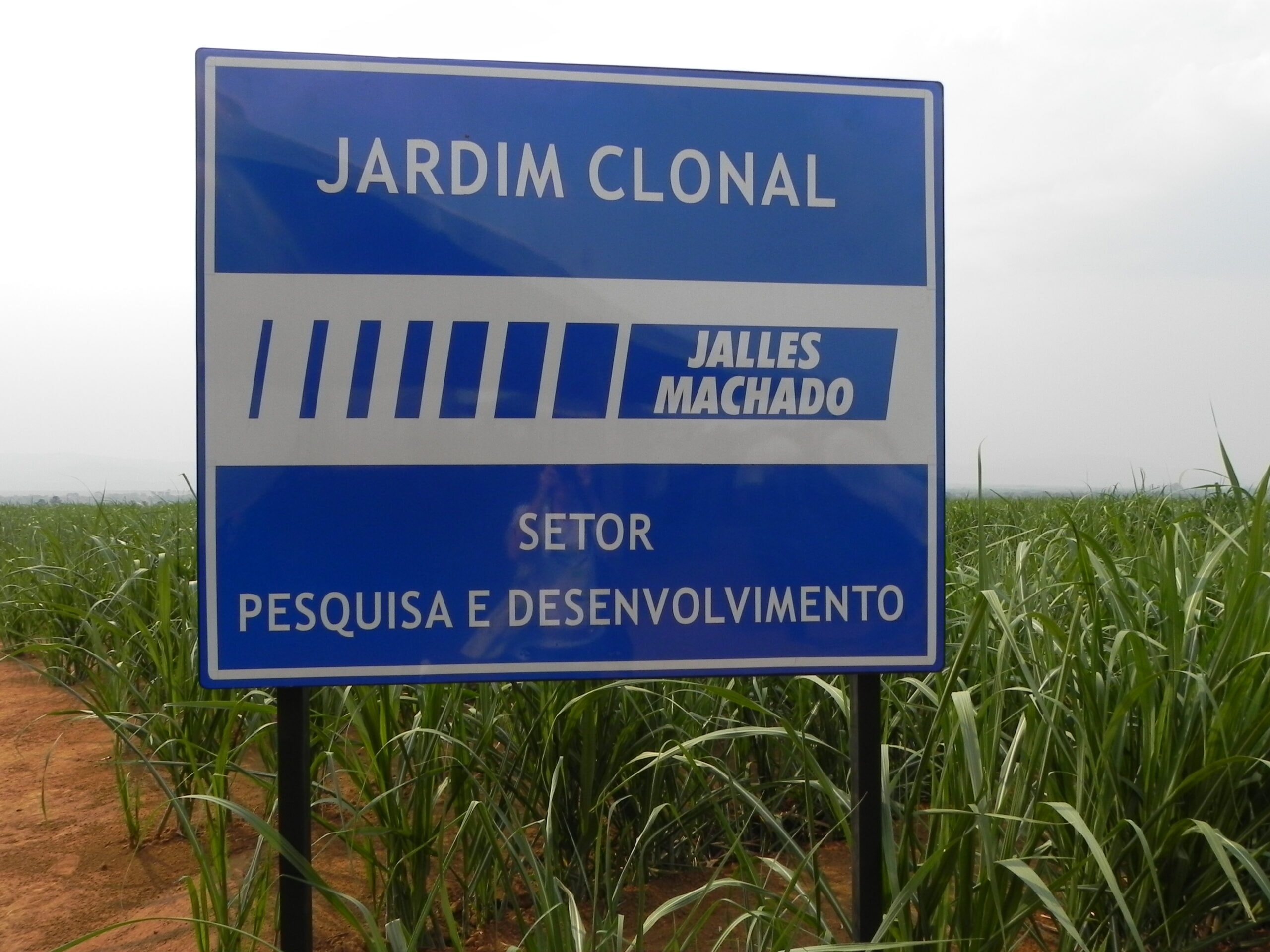 Imagem sem descrição
