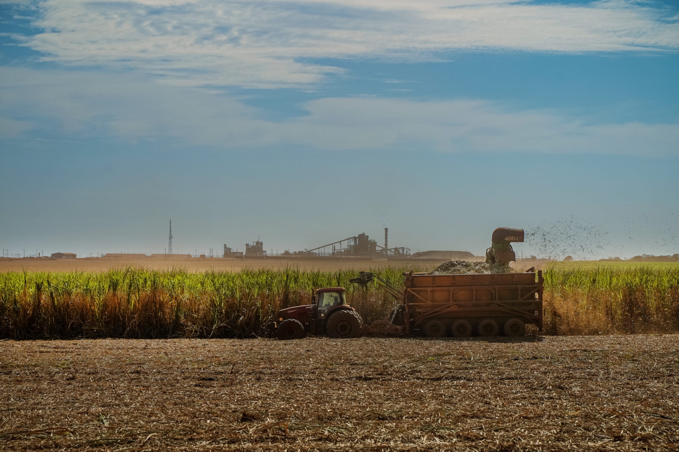 Imagem sem descrição