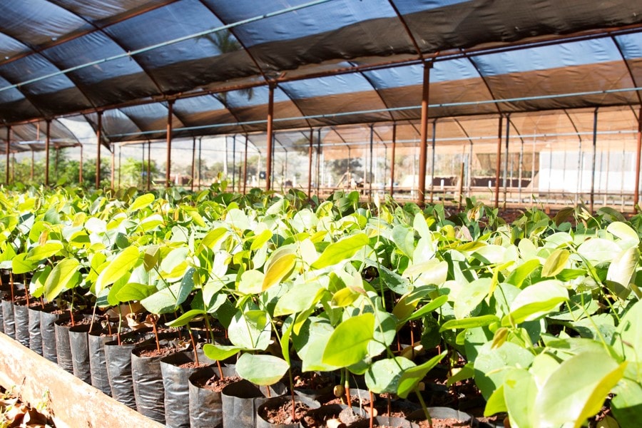 Imagem sem descrição