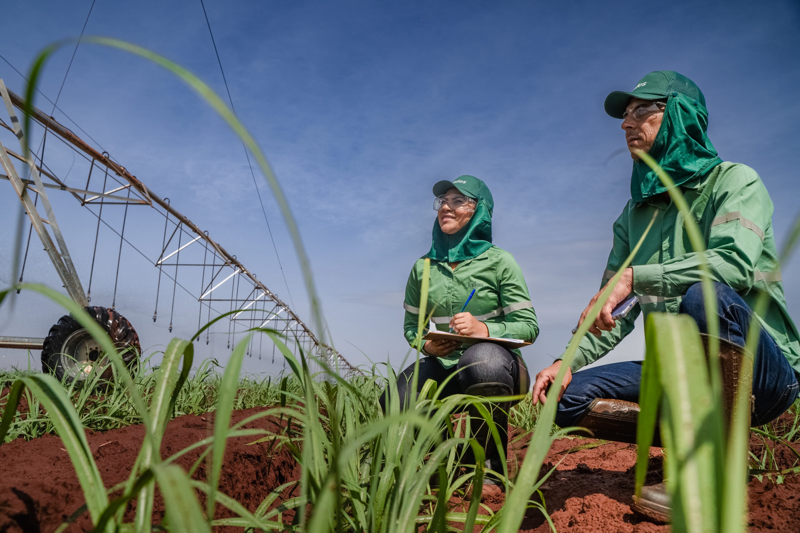 Imagem sem descrição